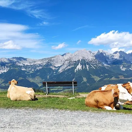 Berghof Bergwiese 31